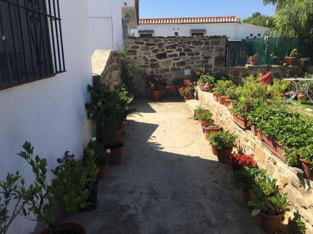 Adelfas Appartement *