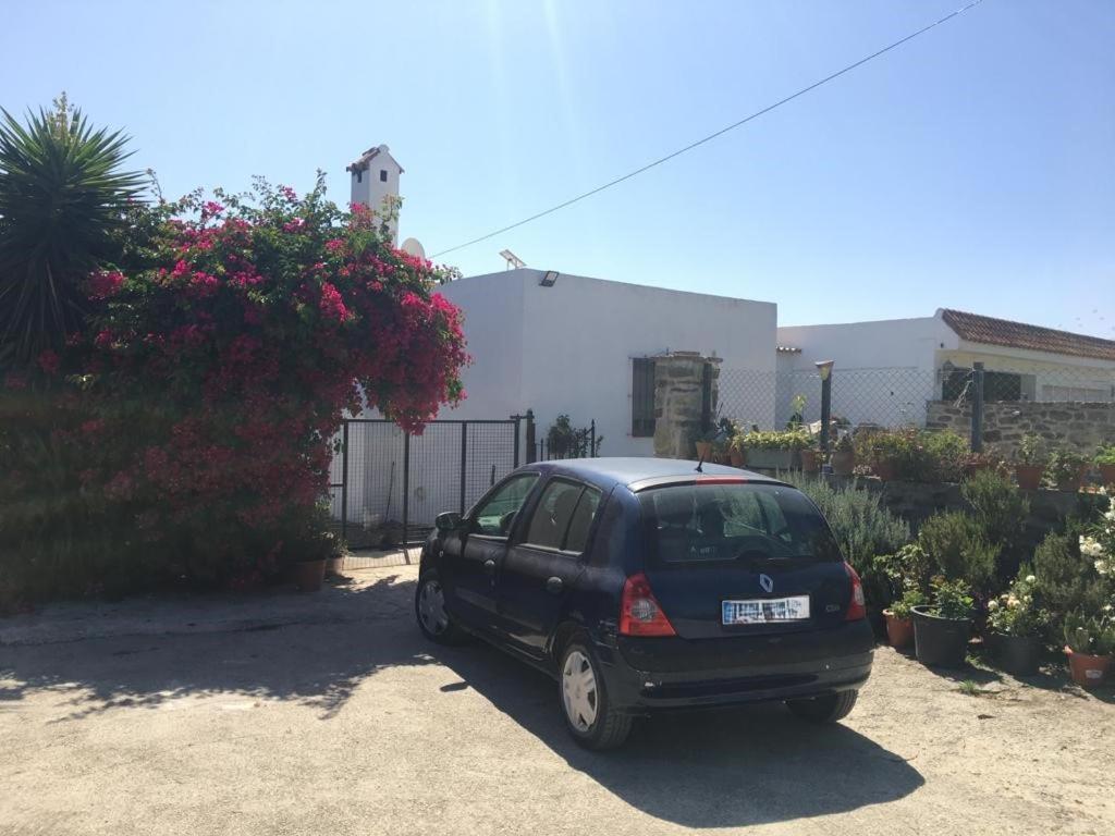 Adelfas Tarifa